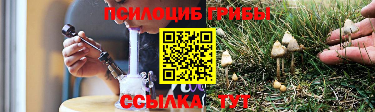 Псилоцибиновые грибы Psilocybine cubensis  Псилоцибиновые грибы MAGIC MUSHROOMS  Вход с VPN  Энгельс 